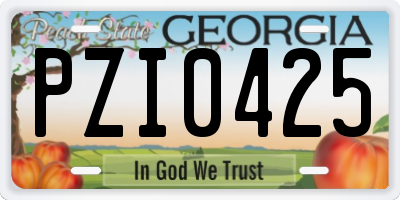 GA license plate PZI0425