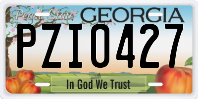 GA license plate PZI0427