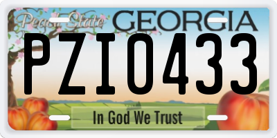 GA license plate PZI0433