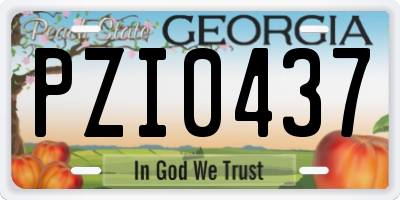 GA license plate PZI0437