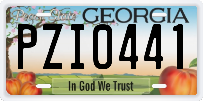 GA license plate PZI0441