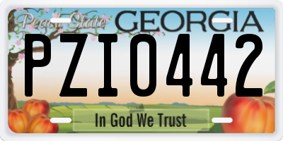 GA license plate PZI0442