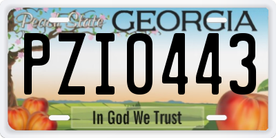 GA license plate PZI0443