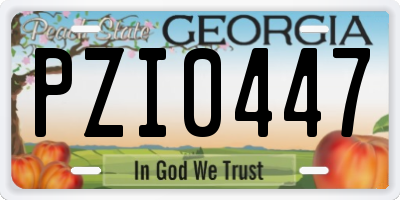 GA license plate PZI0447
