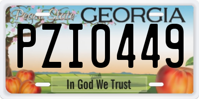 GA license plate PZI0449