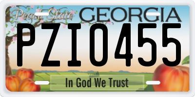 GA license plate PZI0455