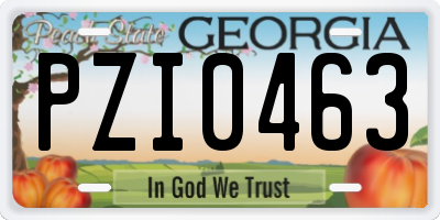 GA license plate PZI0463