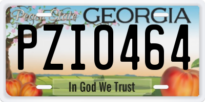 GA license plate PZI0464