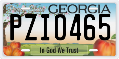 GA license plate PZI0465
