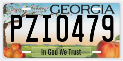 GA license plate PZI0479
