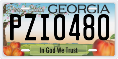 GA license plate PZI0480