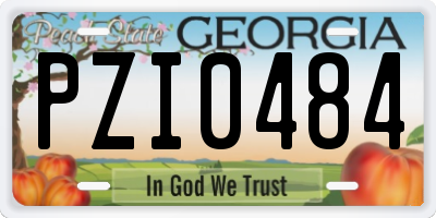 GA license plate PZI0484