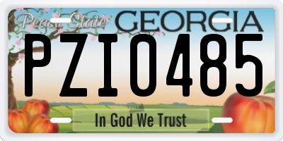 GA license plate PZI0485
