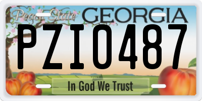 GA license plate PZI0487