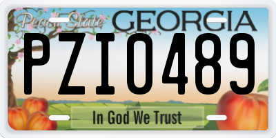 GA license plate PZI0489