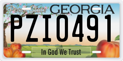 GA license plate PZI0491