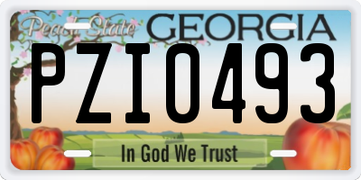 GA license plate PZI0493