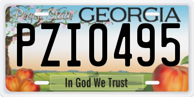 GA license plate PZI0495