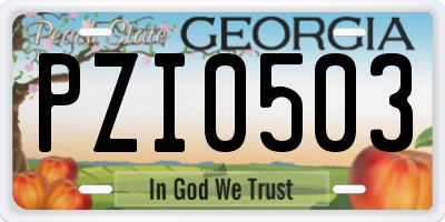 GA license plate PZI0503