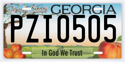 GA license plate PZI0505