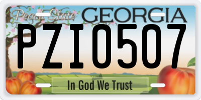 GA license plate PZI0507