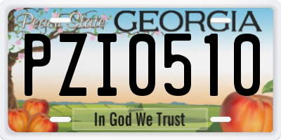 GA license plate PZI0510
