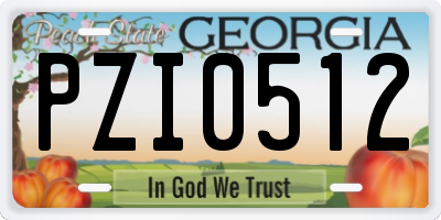GA license plate PZI0512