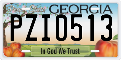 GA license plate PZI0513