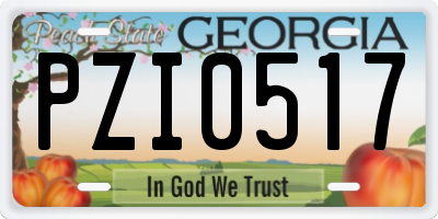 GA license plate PZI0517