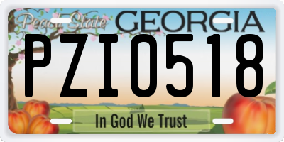 GA license plate PZI0518