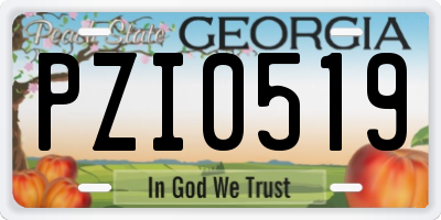GA license plate PZI0519