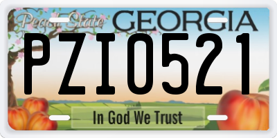 GA license plate PZI0521