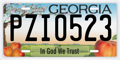 GA license plate PZI0523