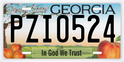 GA license plate PZI0524