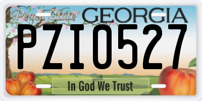 GA license plate PZI0527