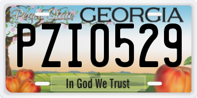 GA license plate PZI0529