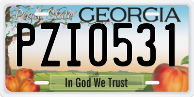 GA license plate PZI0531