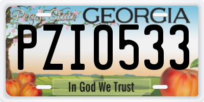 GA license plate PZI0533