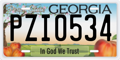 GA license plate PZI0534