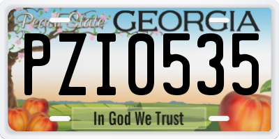 GA license plate PZI0535
