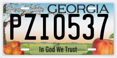 GA license plate PZI0537