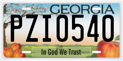 GA license plate PZI0540