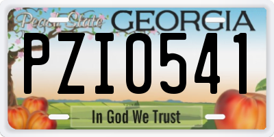 GA license plate PZI0541