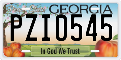 GA license plate PZI0545