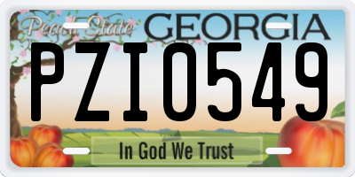 GA license plate PZI0549