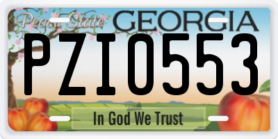 GA license plate PZI0553