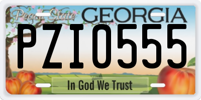 GA license plate PZI0555