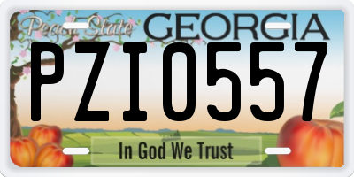 GA license plate PZI0557