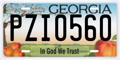 GA license plate PZI0560