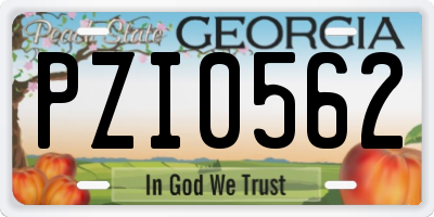GA license plate PZI0562